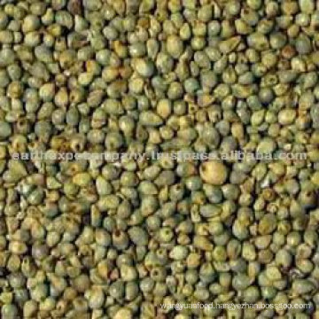 Green Millet